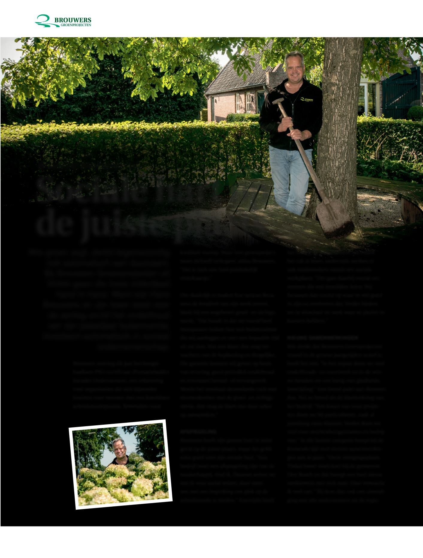 Page Background